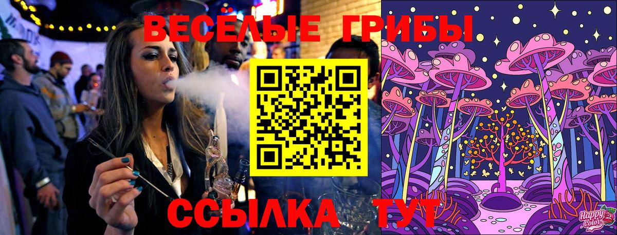 Новочебоксарск  Псилоцибиновые грибы Psilocybe  Вход с VPN 